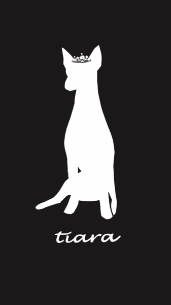 Tiaraへようこそ！ - tiararoomrun ページ！