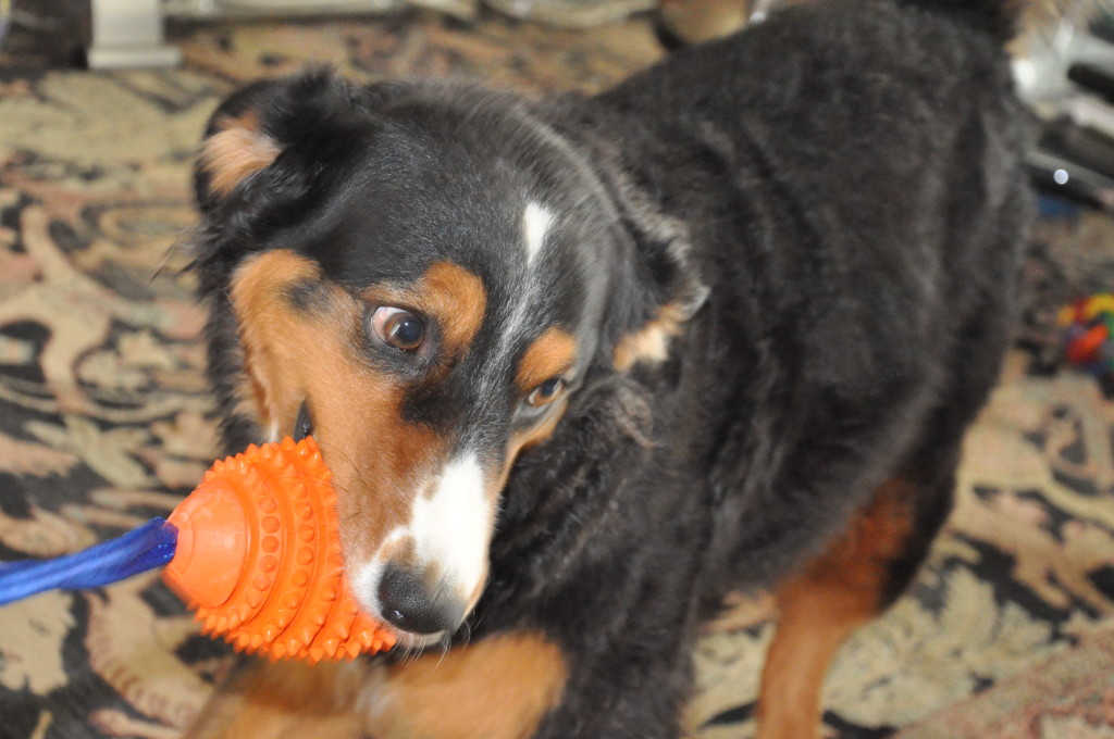 There Was A Party Wir Feiern Geburtstag Und Noch Viel Mehr