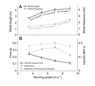 Hardloopcoaching: door middel van een hardloopcoach sneller gaan lopen op de 5km, 10km, halve marathon of marathon. Slimme trainingsschema's van hardloop coach. Met online hardloopbegeleiding naar PR. Marathon begeleiding. 