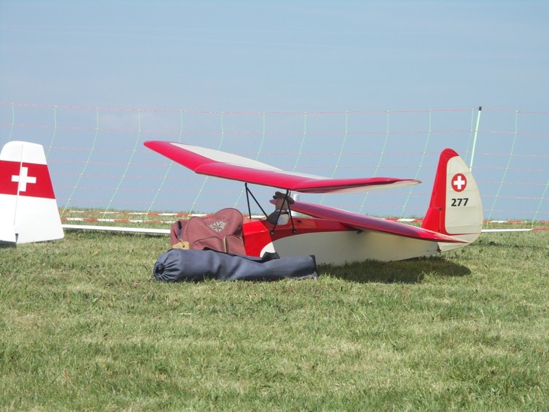 Un pou du ciel ... qui plane !