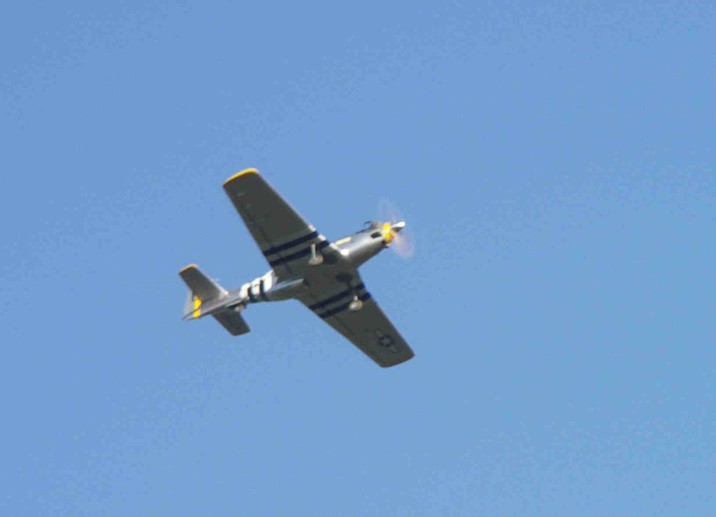 Le P51 en vol