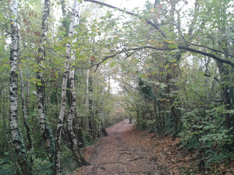 Le chemin d'accès à la pente ...