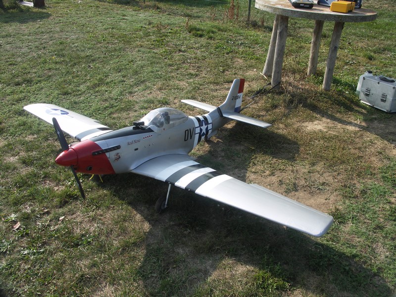 Le P51 de Paul