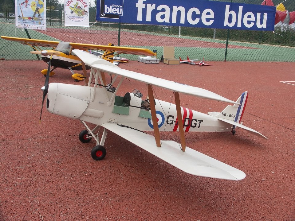 Tiger moth