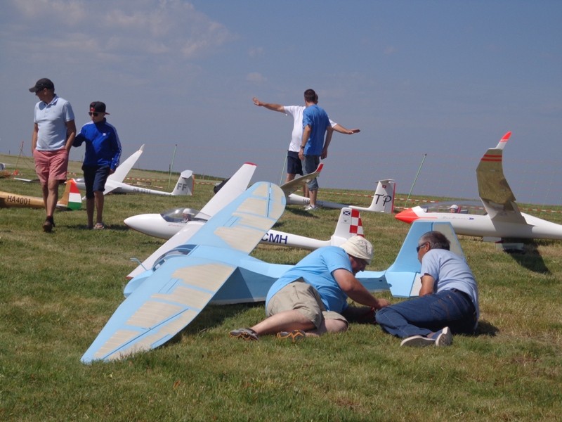 un Slingsby T46