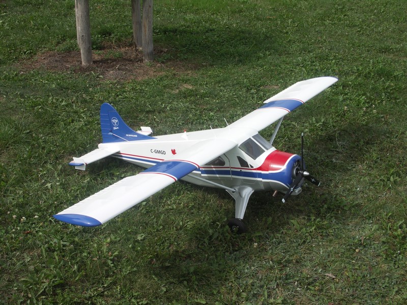 Le Beaver de Laurent