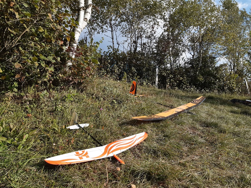 Un F3K (Hawk) et un F5J (Django Sansibear)