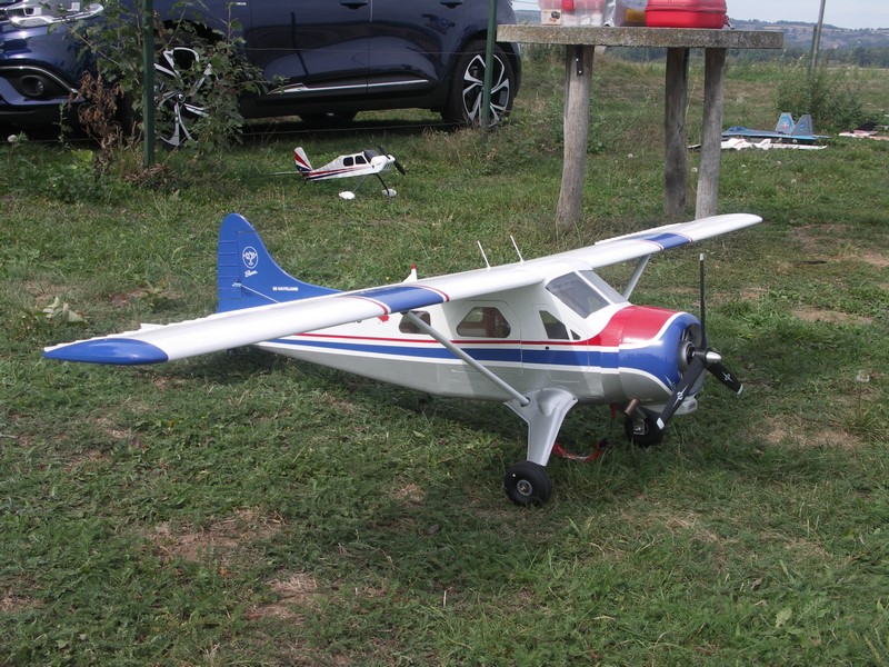 Le Beaver de Laurent