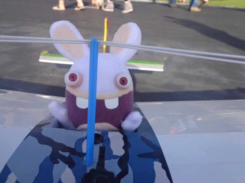 Encore un lapin ... crétin !