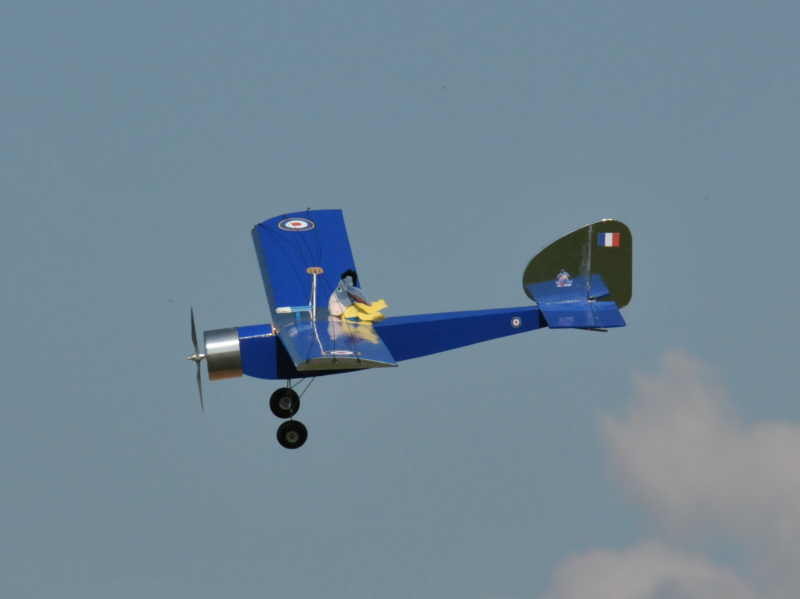 Le Baron d'Iris