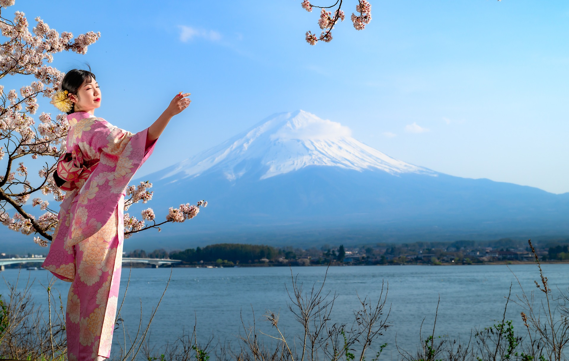 Sakura Kirschblütenextrakt