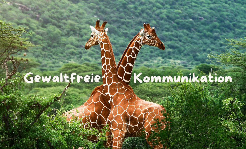 Zack - verschränkte Arme - Tür zu!