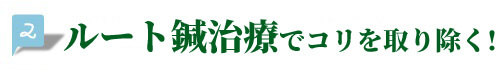 整形外科や治療院での施術実績