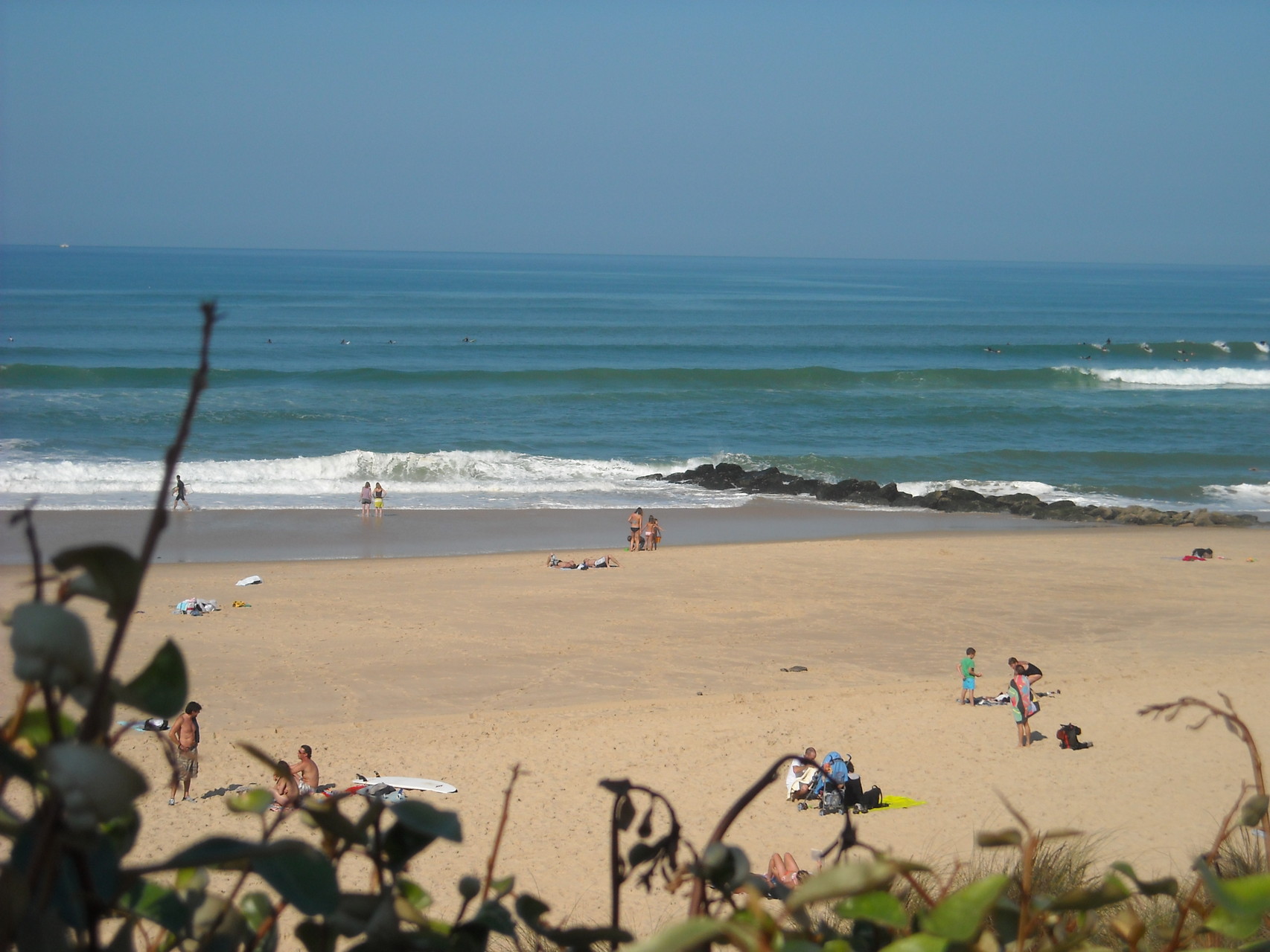 Camping Les Fougeres A Lacanau Aquitaine Gironde Camping Les Fougeres Lacanau