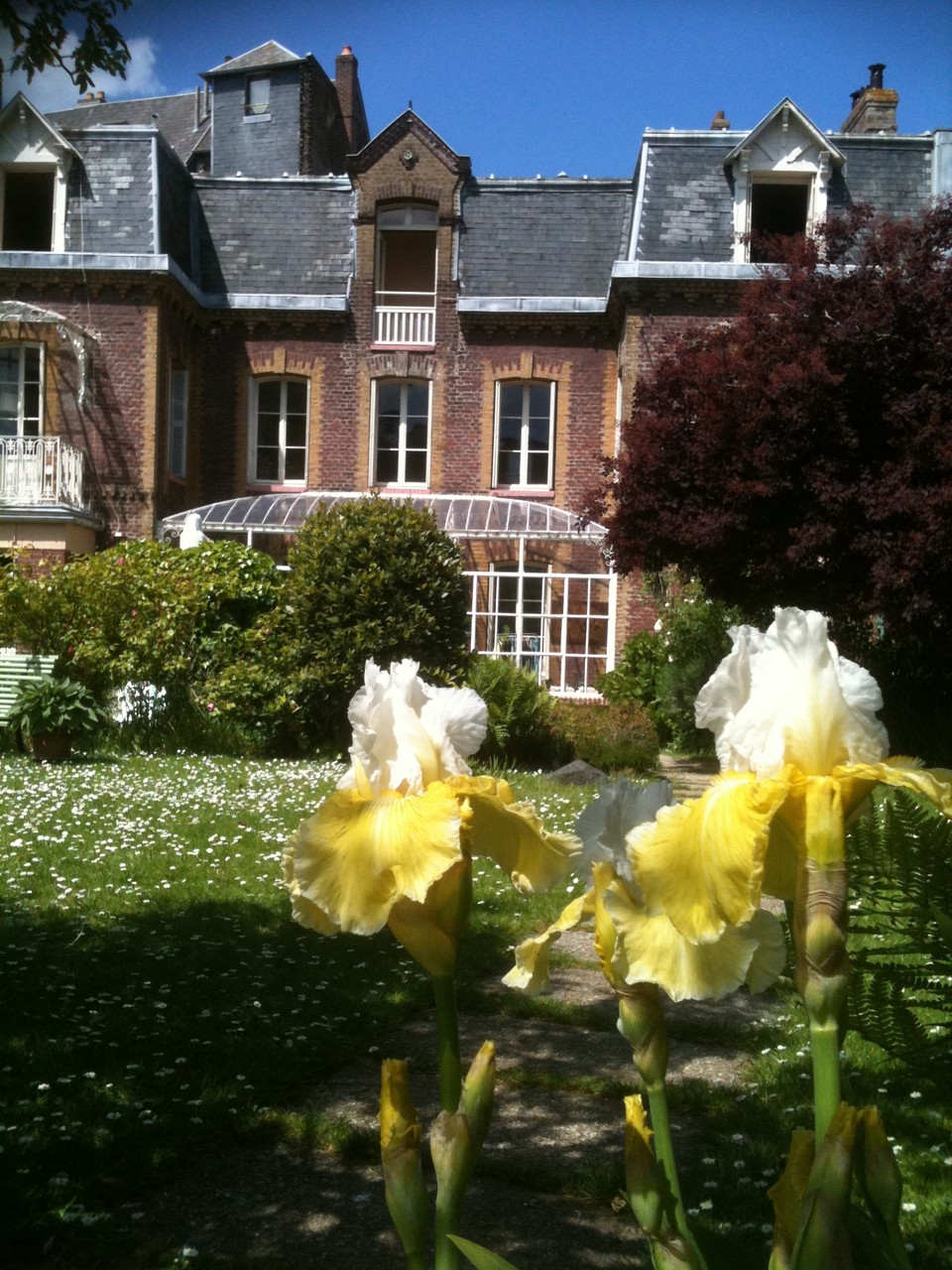 IRIS EN FLEURS DEVANT LA VILLA DES CAPUCINS ...