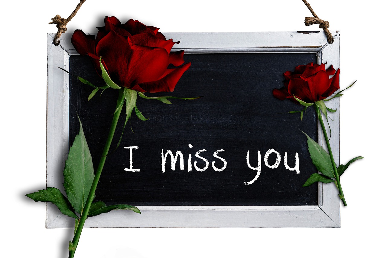 Ich Vermisse Meine Ex Freundin Ich Vermisse Meine Ex Freundin