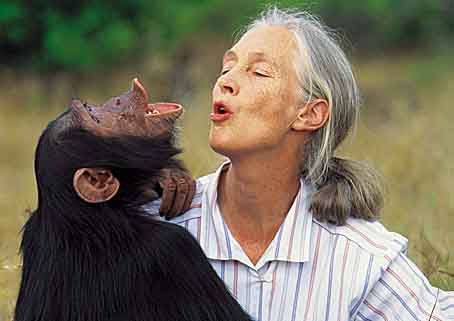 Jane GOODALL : Primatologue, Ethologue et Anthropologue britannique