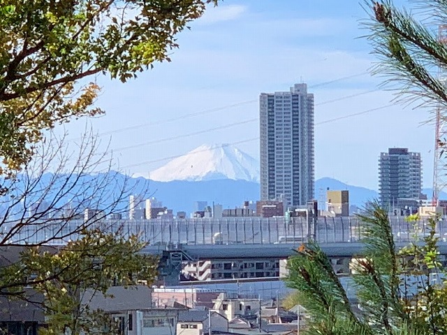 戸定邸からの富士山