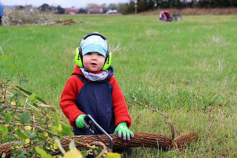 Auch die ganz Kleinen helfen schon mit beim Naturschutz, hier Niels Benner beim Sägen. Foto: Daniela Schneider 