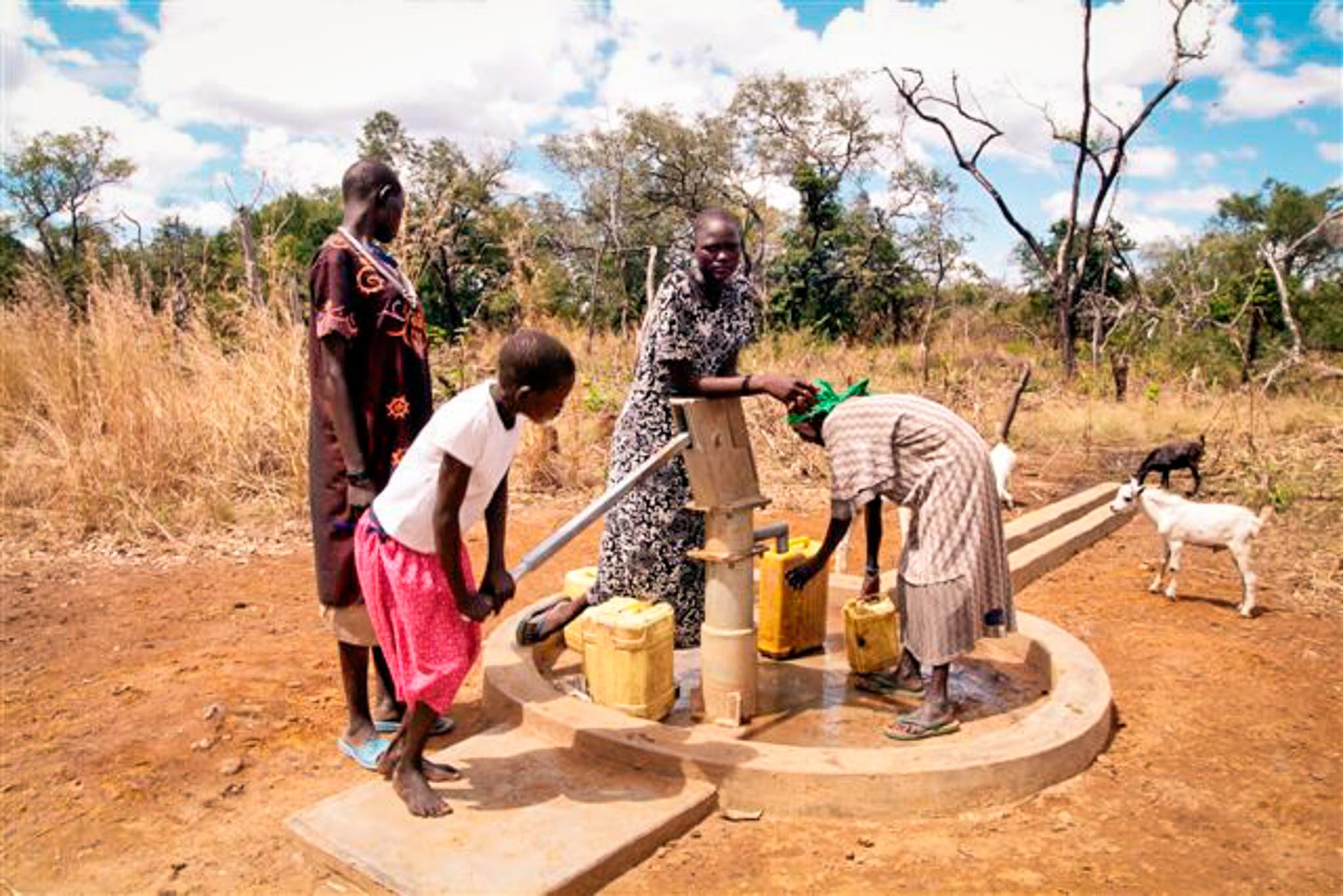 DirtWater NGO Trinkwasser Hilfsprojekte