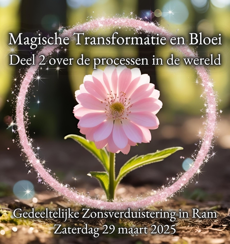Magische Transformatie en Groei