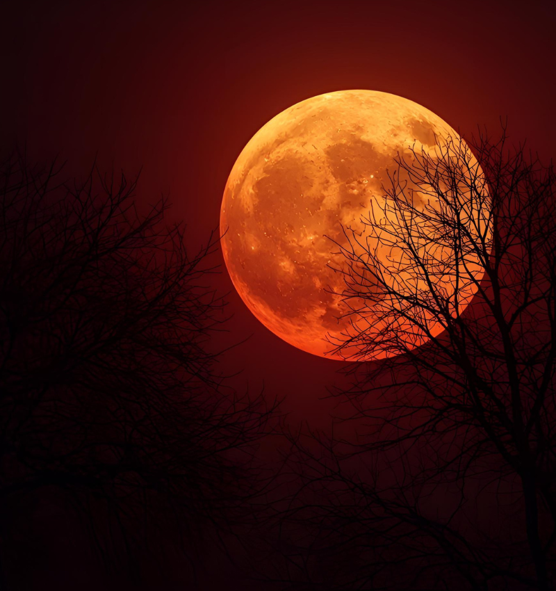 Energetische update + Volle maan / Bloedmaan / Eclips zondag 7 september