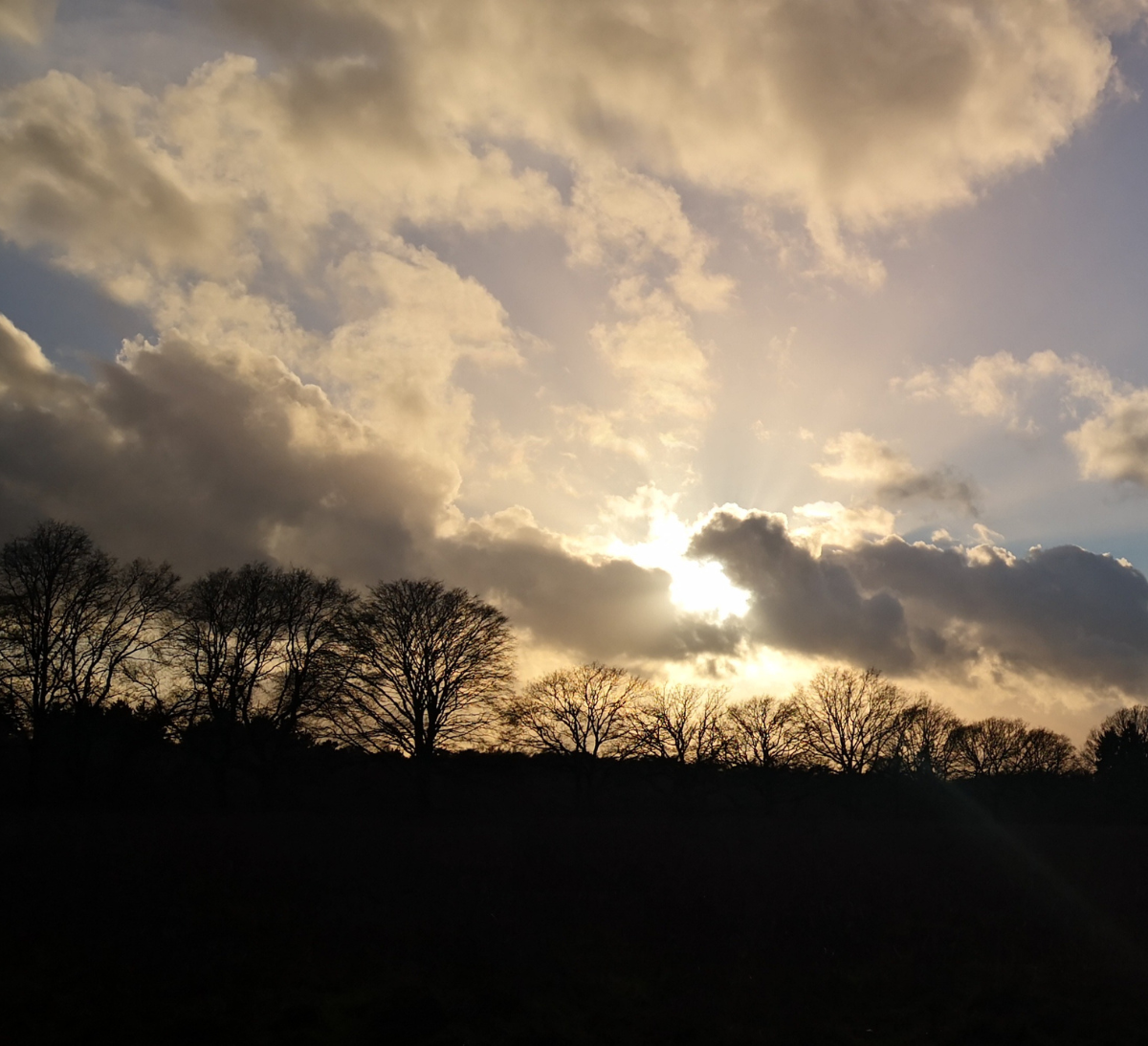 Licht in de duisternis