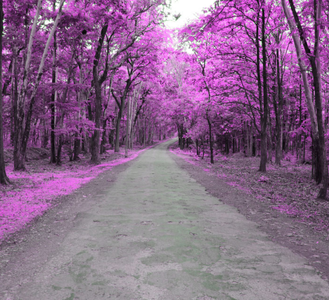 Vallend blad