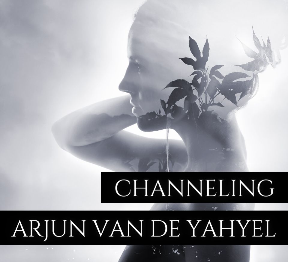 De invoering van een meer gecontroleerd systeem - 1