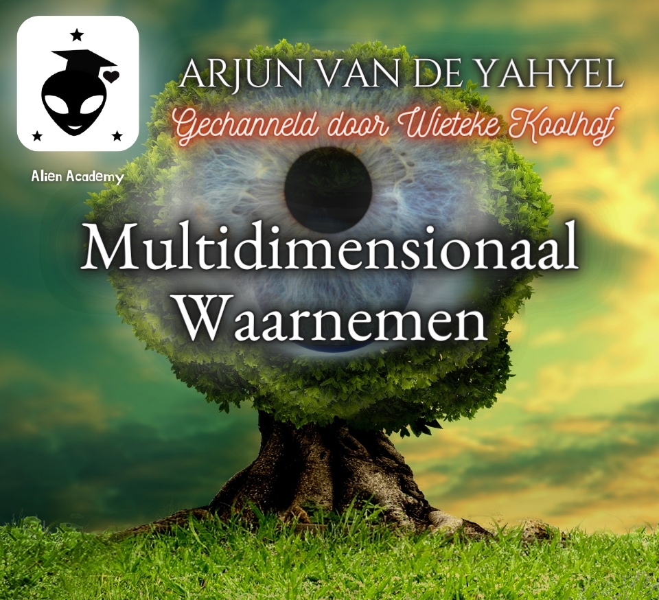 Multidimensionaal Waarnemen