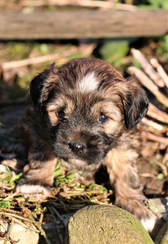 Mädchen Nummer vier sucht ihre Familie noch