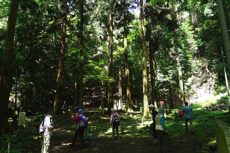 鬱蒼とした旧鶴林寺