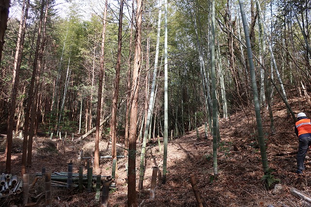 作業前２