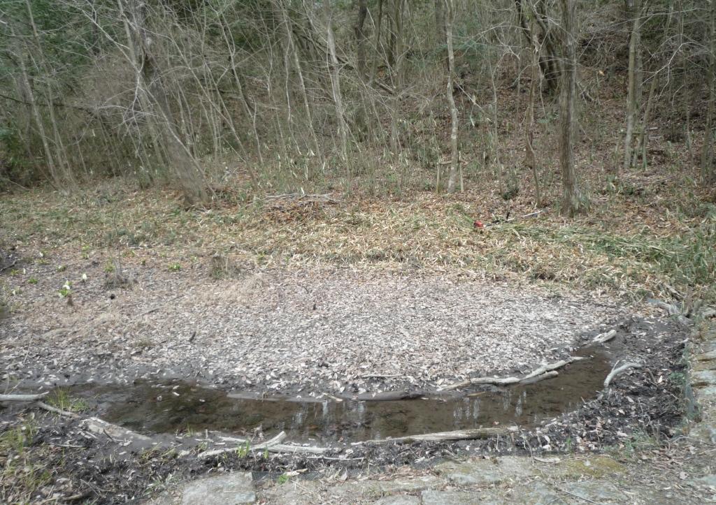 さんさくの路の池の全景（整備後）