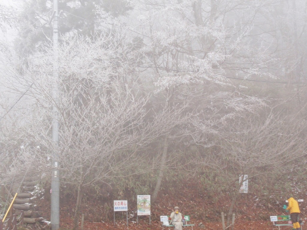 山頂付近はガスってました