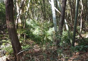 作業前