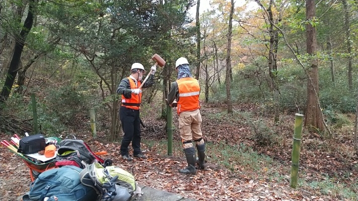 くろんど池分岐地点の竹杭打ち込み