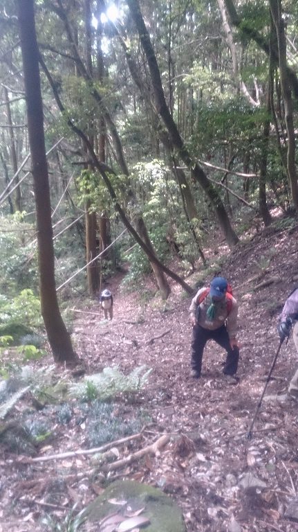 いざ山の中へ！引き続き傾斜がある道が続きます。