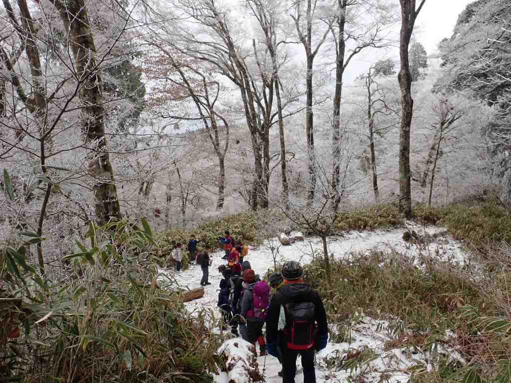 山頂付近の樹氷