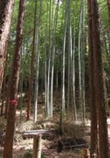作業前