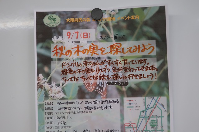 募集チラシ作成８