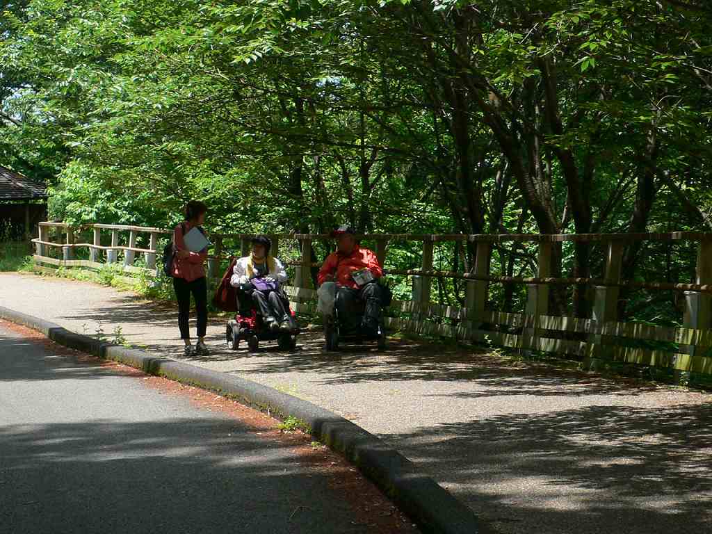 新緑の木陰はサイコ―！