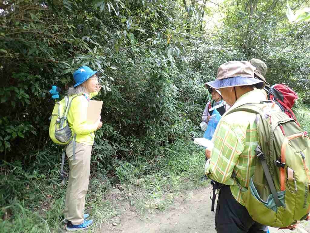 自然解説の実施-2グループ一部