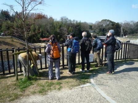 水へプラザから天の川