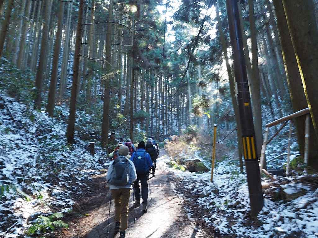 1合目付近。時折光が差し込んで...