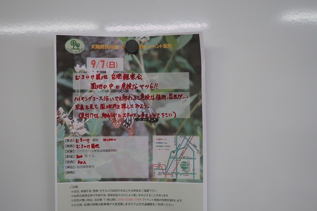 募集チラシ作成２