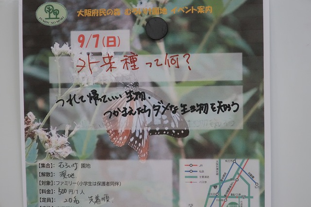 募集チラシ作成３