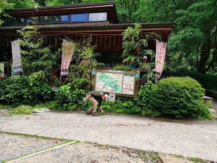 七夕飾り取り付け