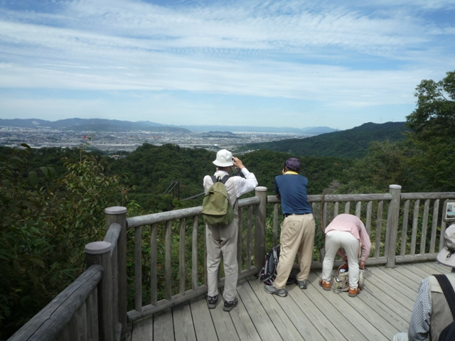 展望台の眺め