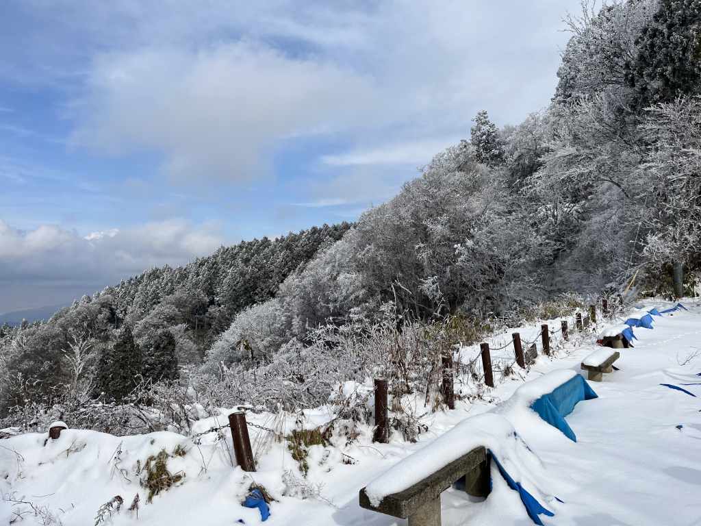 山頂広場の樹氷